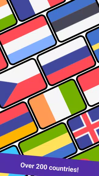 Geomi — Flags & Countries ภาพหน้าจอ 2