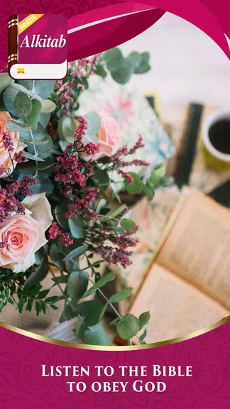 Alkitab audio Captura de pantalla 3