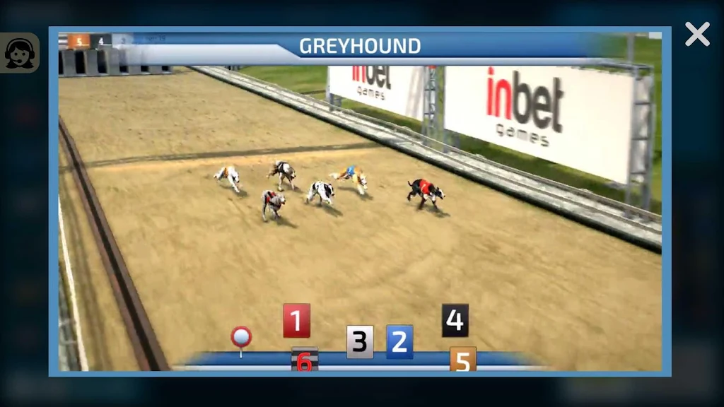 Dogs3D Races Betting 스크린샷 3