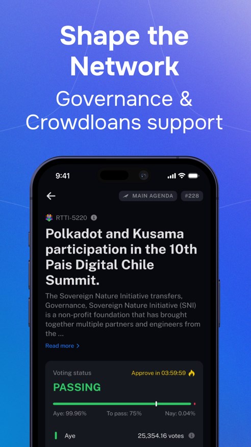 Nova Polkadot Wallet Captura de tela 3