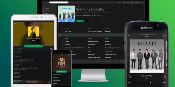 Spotify Vanced Ekran Görüntüsü 3