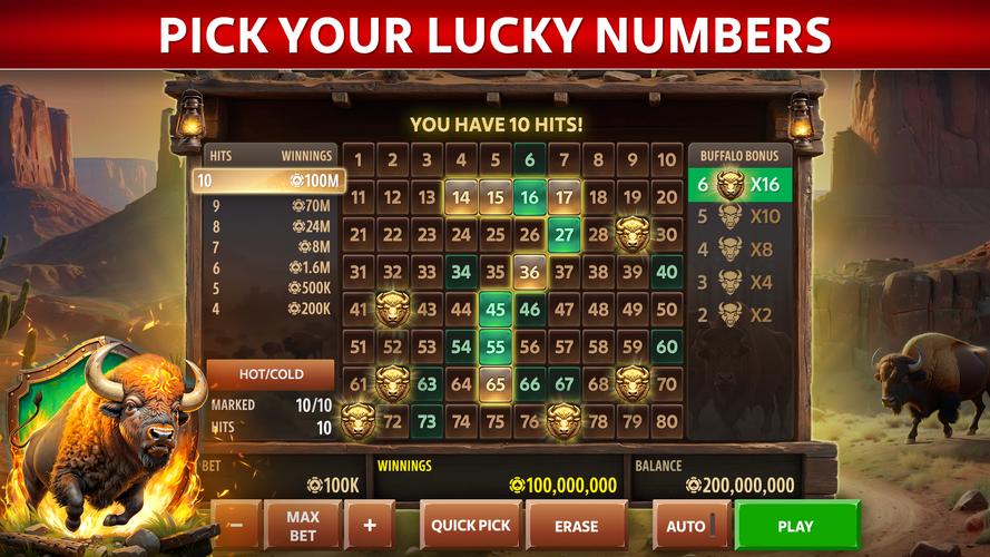 Vegas Keno by Pokerist Screenshot 3