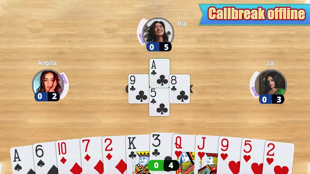 Schermata Card Game Collection : Offline 1