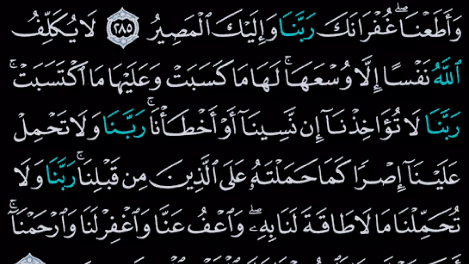 القرآن الكريم Ekran Görüntüsü 4