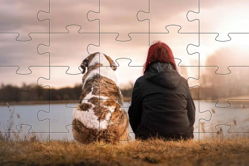 Jigsaw puzzle without internet Zrzut ekranu 4