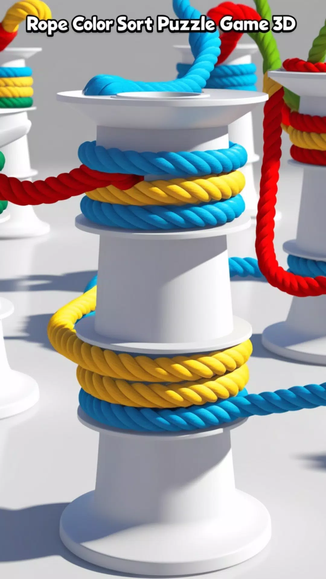 Rope Color Sort Puzzle Game 3D Capture d'écran 2