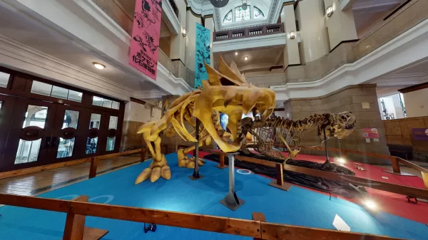 Pokémon-Fossil-Museum zeigt 2026 in den USA echte und replizierte Fossilien