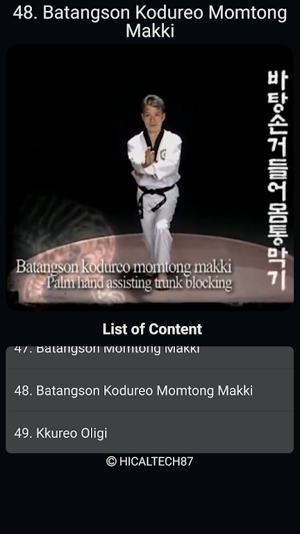Taekwondo Basic Motions Captura de pantalla 3