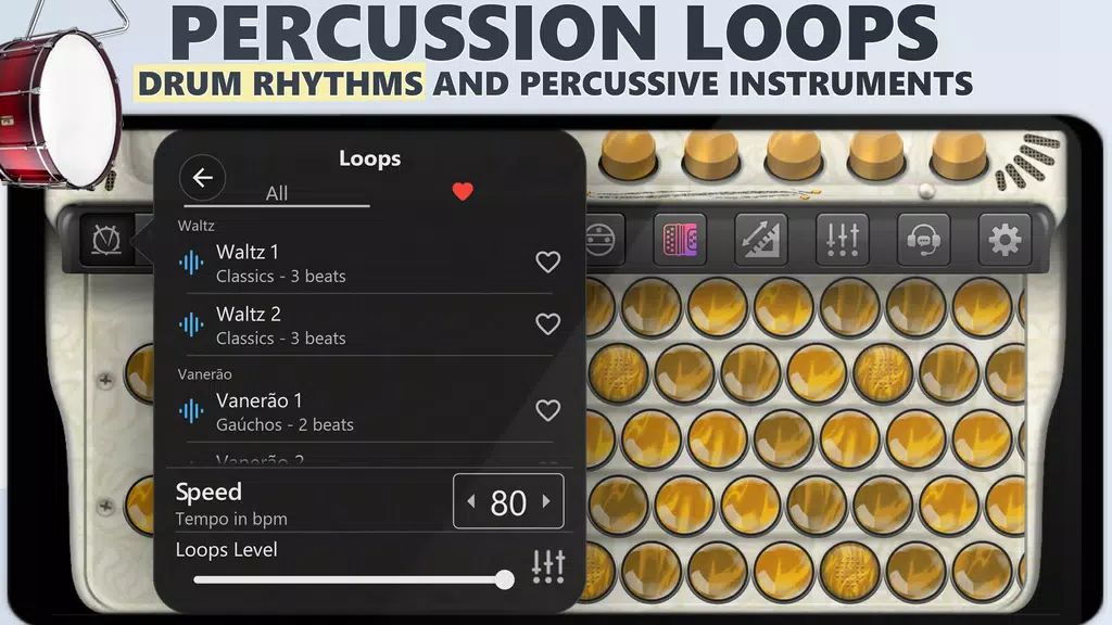 Schermata Accordion Chromatic Master 3