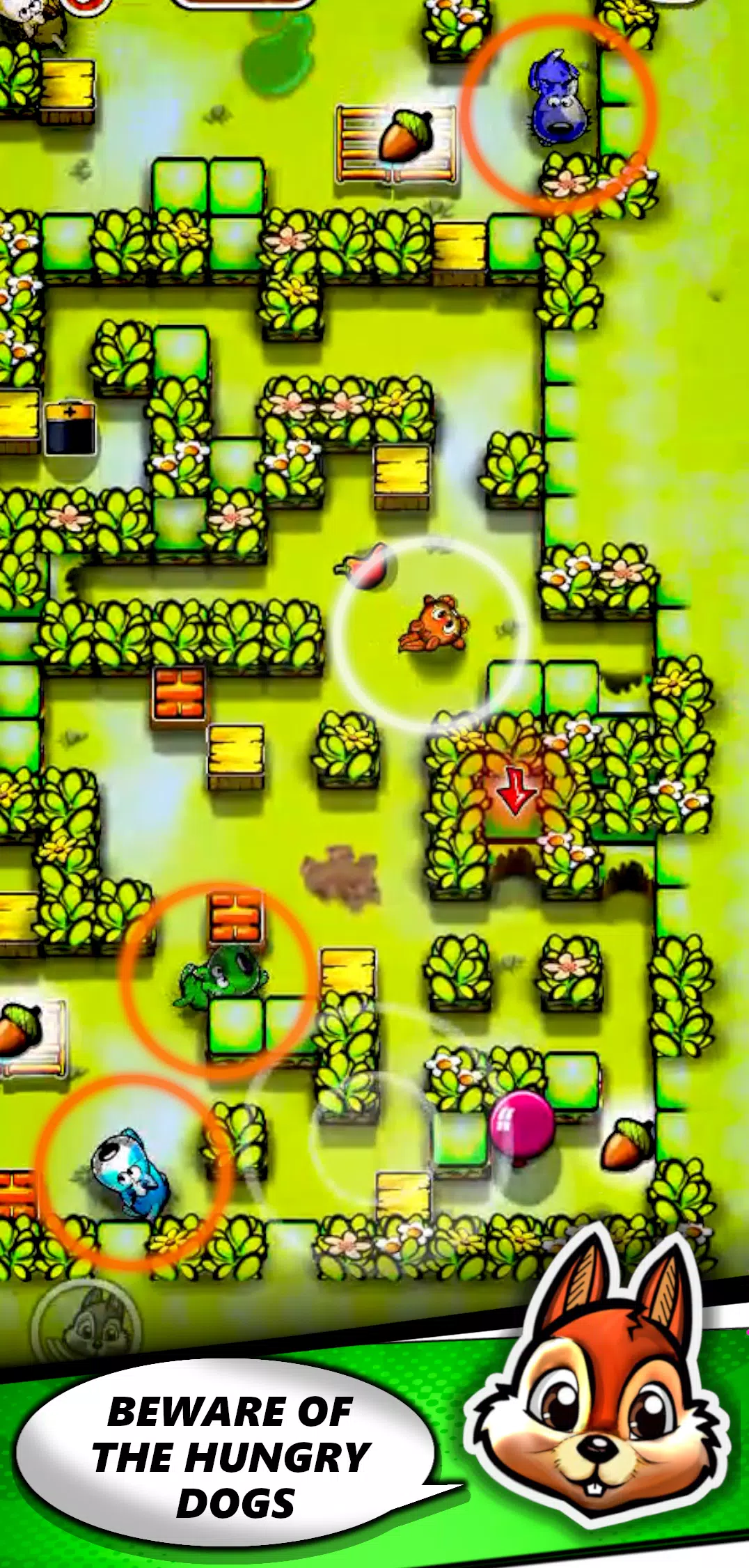 Squirrel Maze Escape স্ক্রিনশট 1