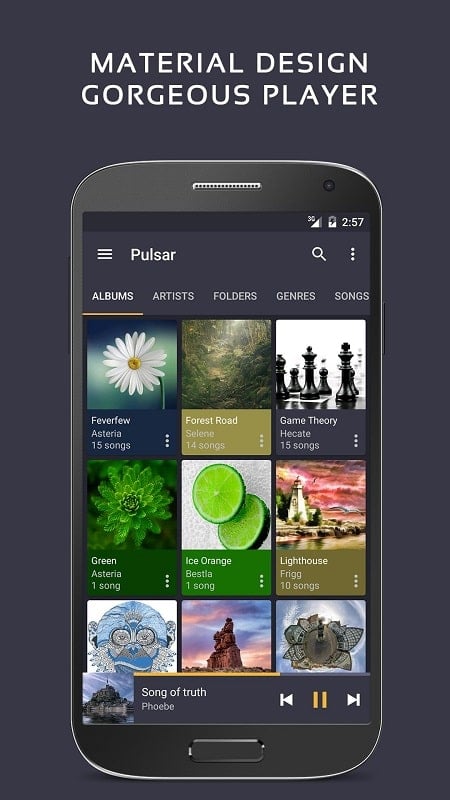 Pulsar Music Player Pro Tangkapan skrin 1