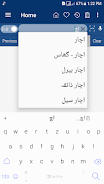 English Urdu Dictionary スクリーンショット 4