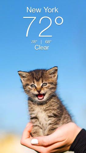 Weather Kitty - App & Widget Captura de pantalla 1