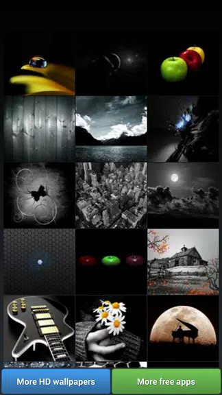 Black Theme HD Wallpapers Captura de tela 2