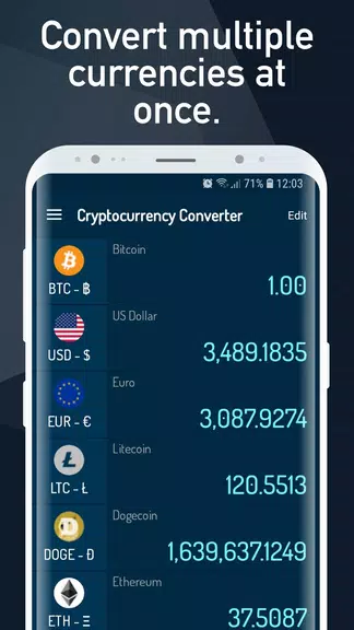Cryptocurrency Rate Converter Tangkapan skrin 3