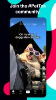 TikTok: Videos, Lives & Musik Screenshot 4