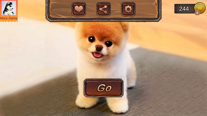 Pomeranian Dog Simulator Captura de pantalla 1