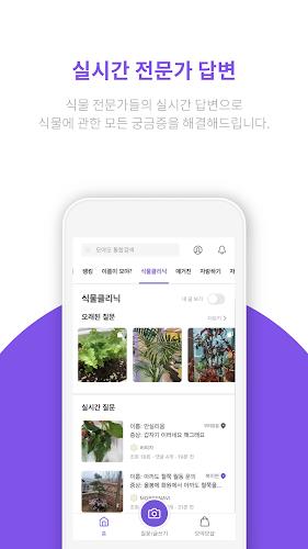 모야모 Screenshot 4