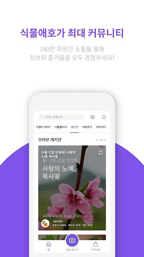 모야모 Screenshot 3