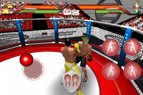 Virtual Boxing Schermafbeelding 1