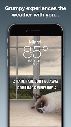 Grumpy Cat Weather Capture d'écran 2