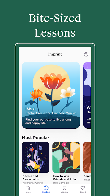 Imprint: Learn Visually Mod Zrzut ekranu 4