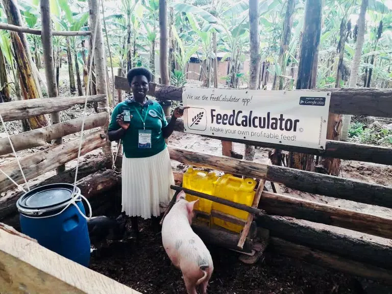 Feed Calculator for livestock Captura de pantalla 2