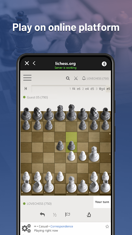 Chessnut Capture d'écran 2