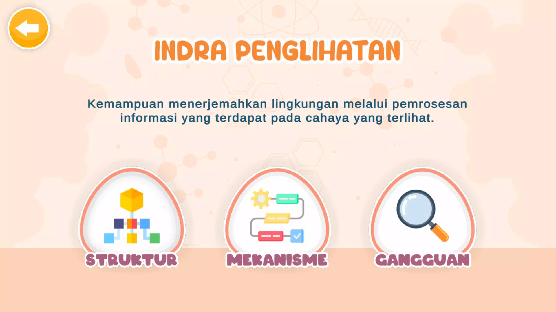 Sistem Indra Manusia 스크린샷 3