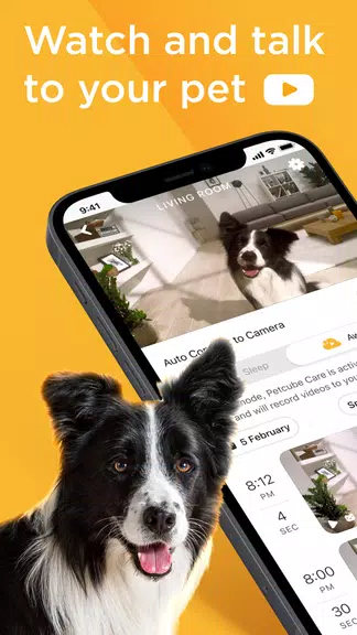 Petcube Ekran Görüntüsü 1