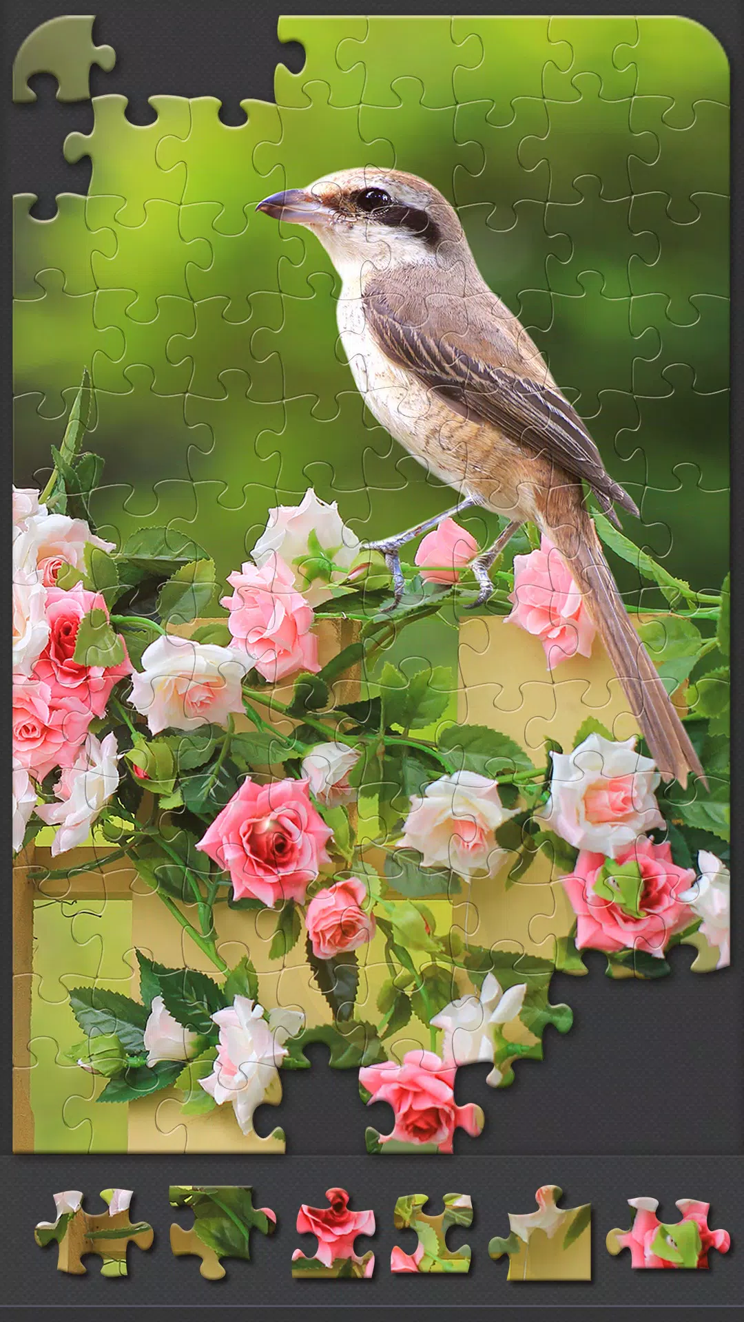 Jigsaw Puzzles for Adults Captura de tela 3