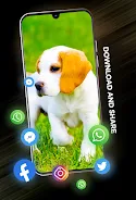 Puppies Wallpapers in 4K स्क्रीनशॉट 3