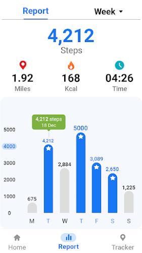 Pedometer - Step Tracker Ekran Görüntüsü 3