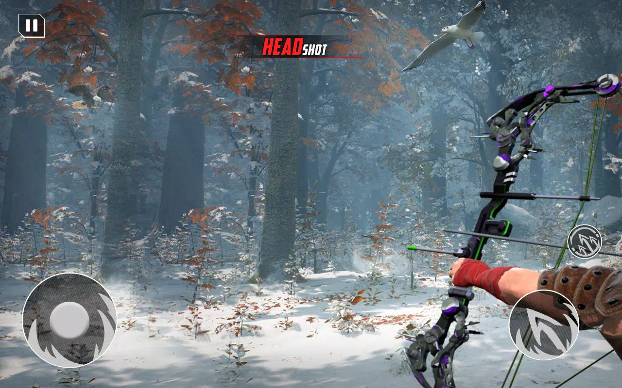 Archery Bow Hunt Shooting V2 Captura de tela 3