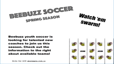 Beebuzz Soccer Captura de tela 2