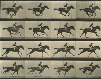 Run Muybridge, run! Schermafbeelding 1