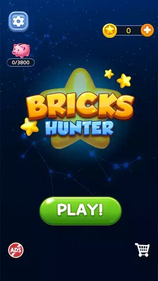 Bricks Hunter : Cube Puzzle Скриншот 1