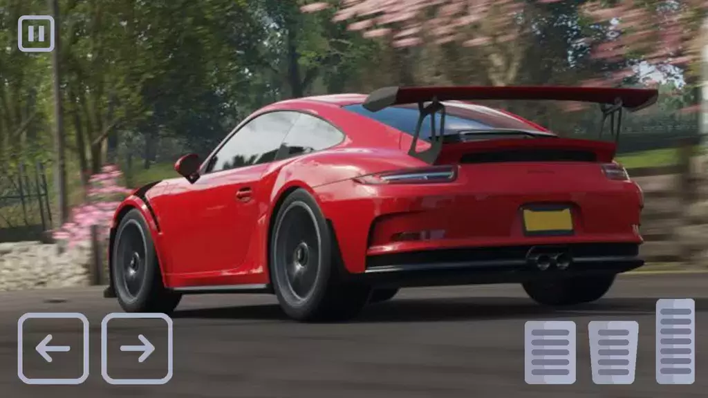 Racing Porsche Carrera 911 GT3 Tangkapan skrin 4