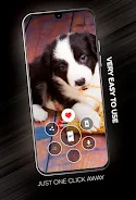 Puppies Wallpapers in 4K स्क्रीनशॉट 2