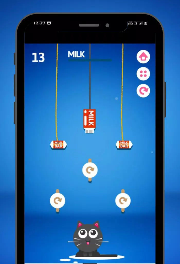 Feed the Kitty Cat Game Скриншот 3