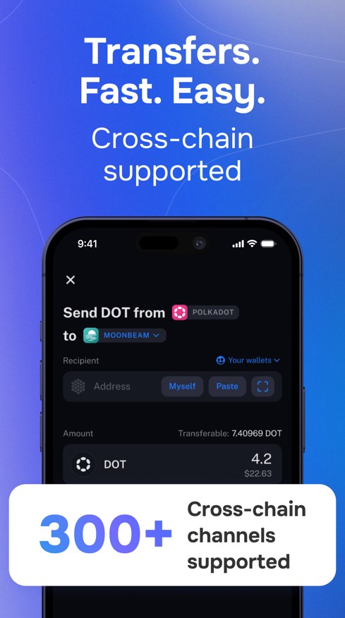 Nova Polkadot Wallet Captura de tela 4