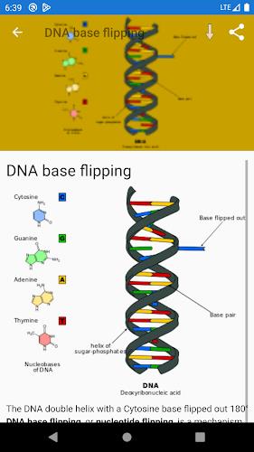 Molecular biology ภาพหน้าจอ 4