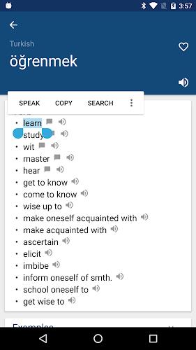 Turkish English Dictionary İng應用截圖第1張