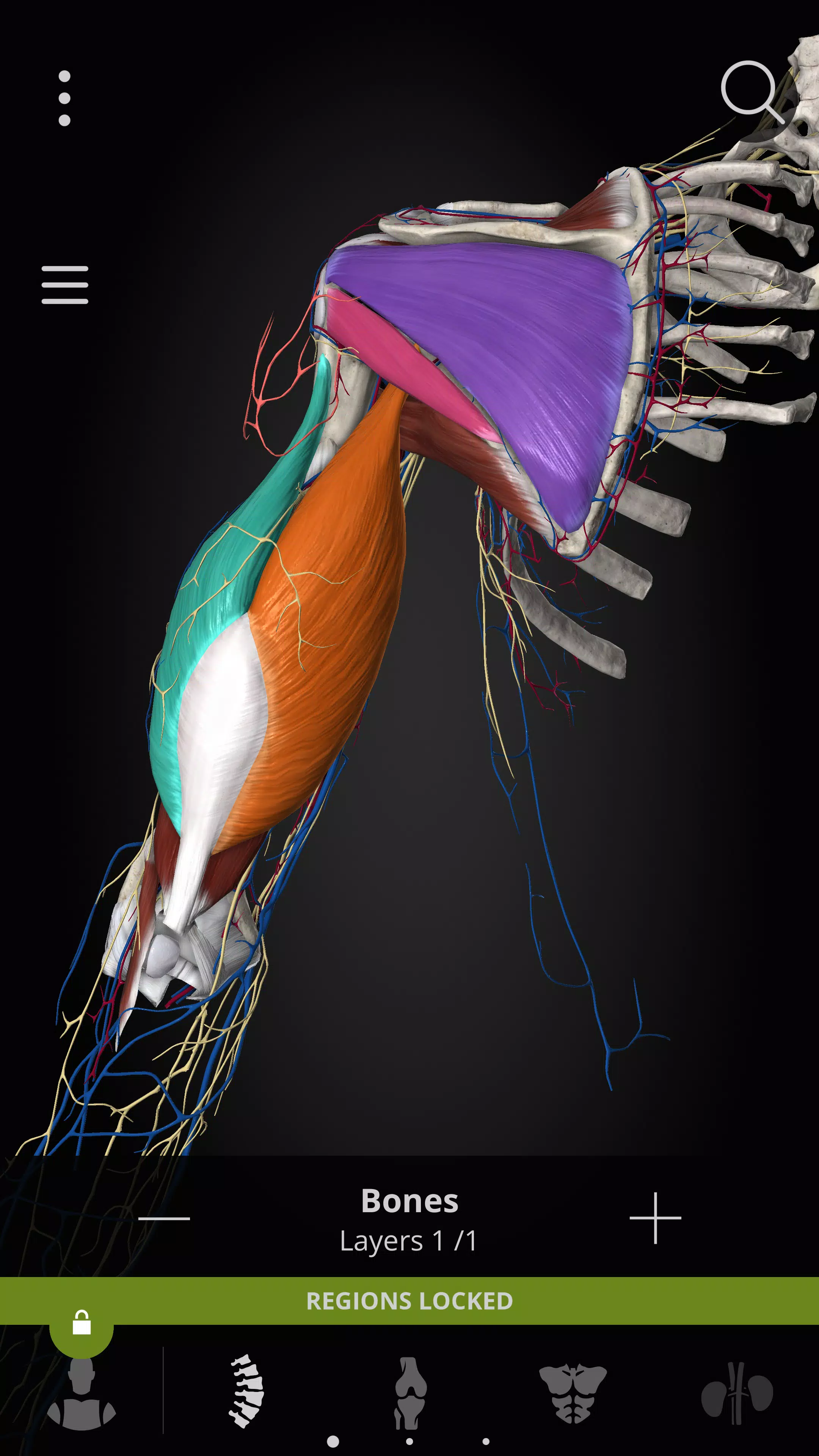 Anatomyka - 3D Anatomy Atlas应用截图第4张