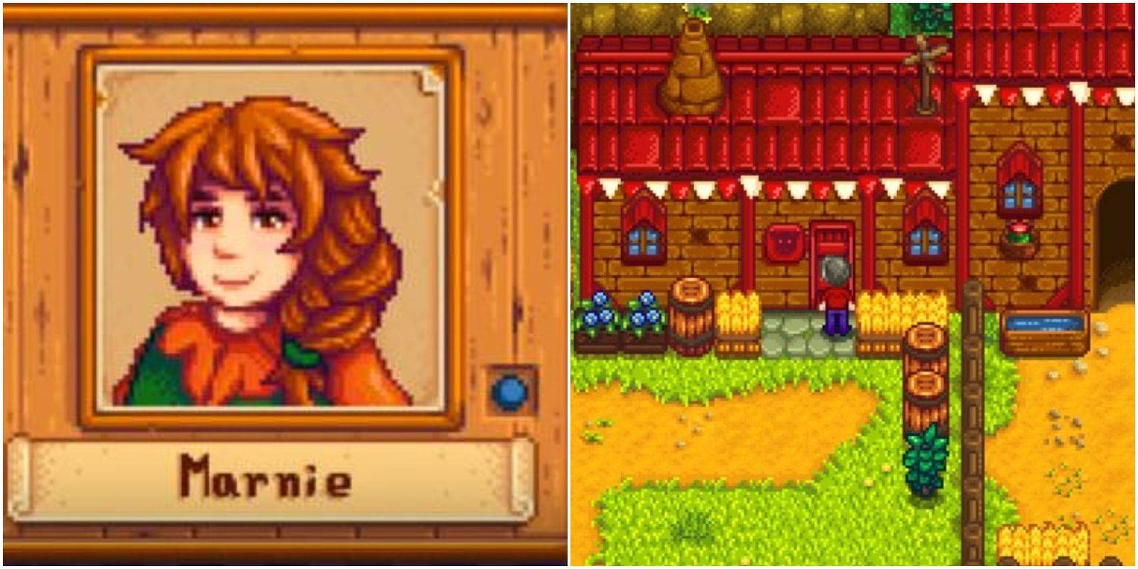 Stardew Valley - မိတ်ဖွဲ့ခြင်းမာနနီ - လမ်းညွှန်အပြည့်အစုံ