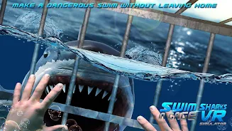 Swim Sharks Cage VR Simulator Screenshot 2