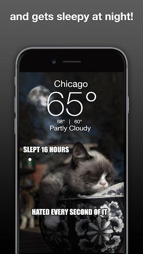 Grumpy Cat Weather Capture d'écran 3