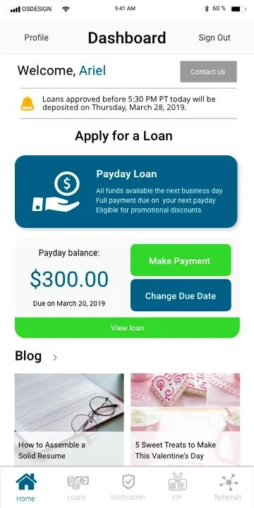 Net Pay Advance Captura de pantalla 2