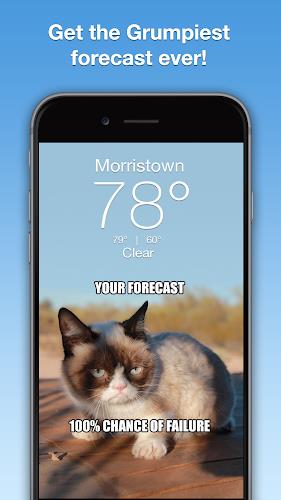 Grumpy Cat Weather Capture d'écran 1