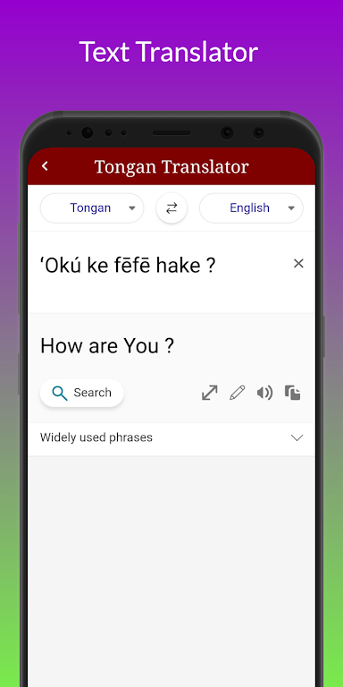 Tongan Translator Ekran Görüntüsü 3